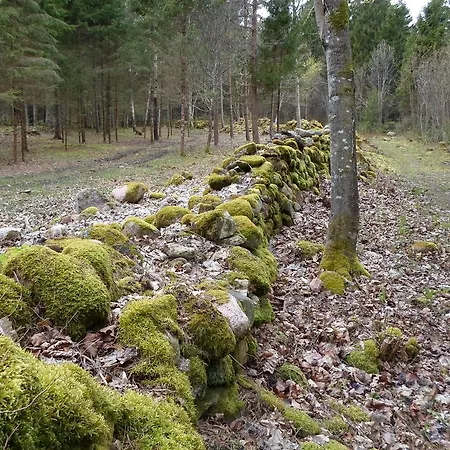 Forest House *